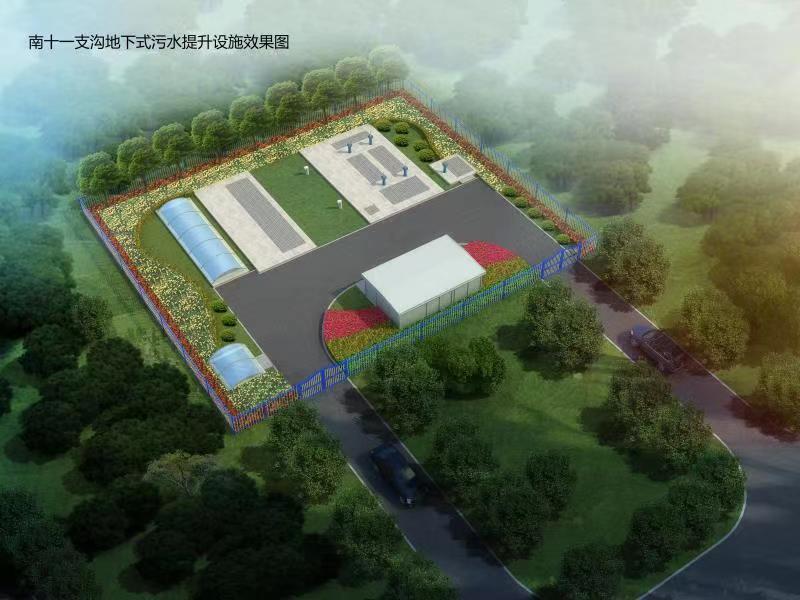 四不像的真正图片2025年
