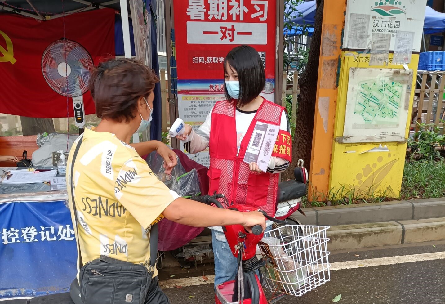 四不像的真正图片2025年