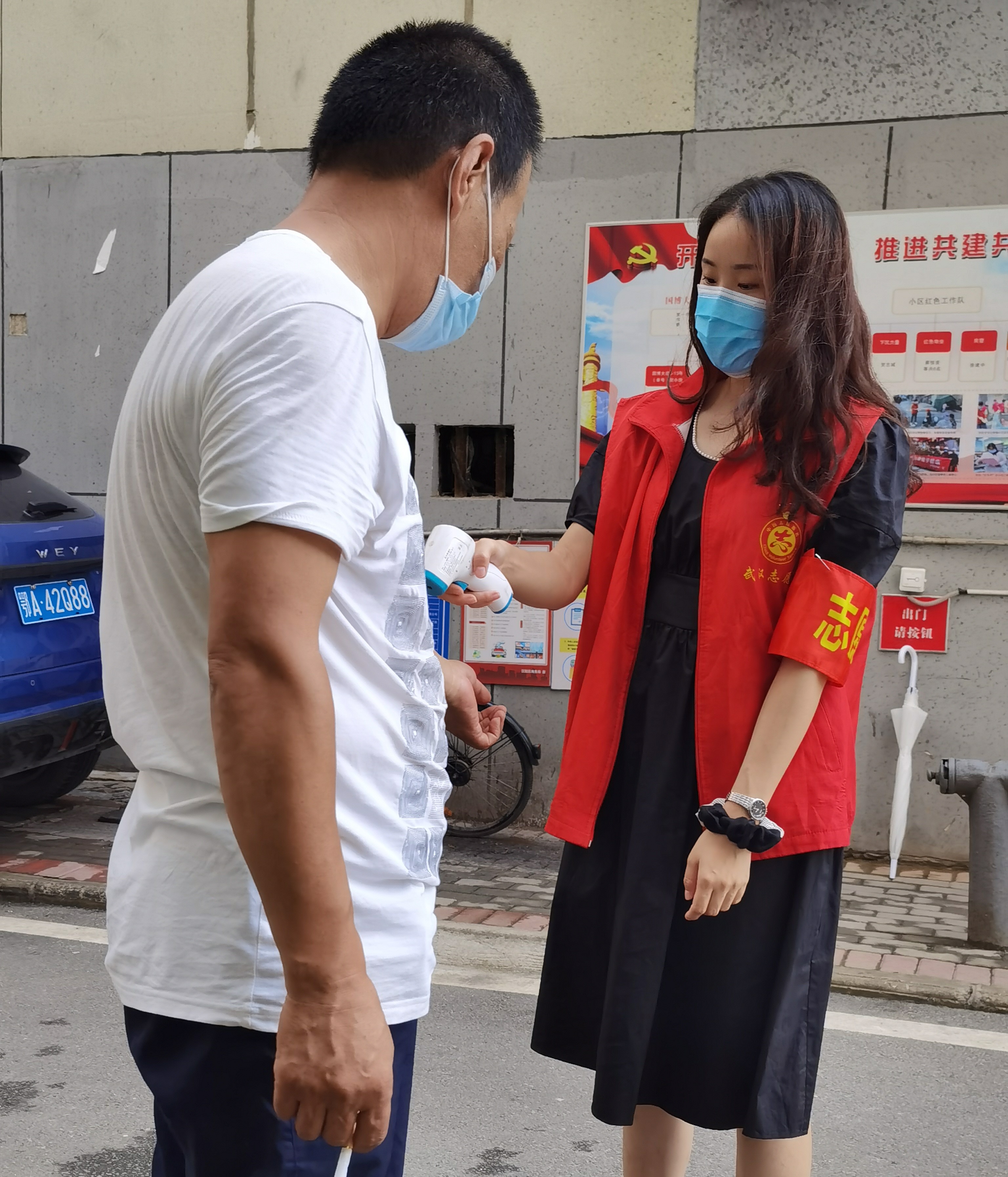 四不像的真正图片2025年