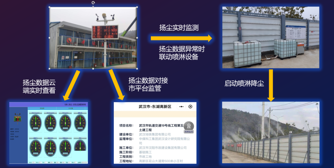 四不像的真正图片2025年