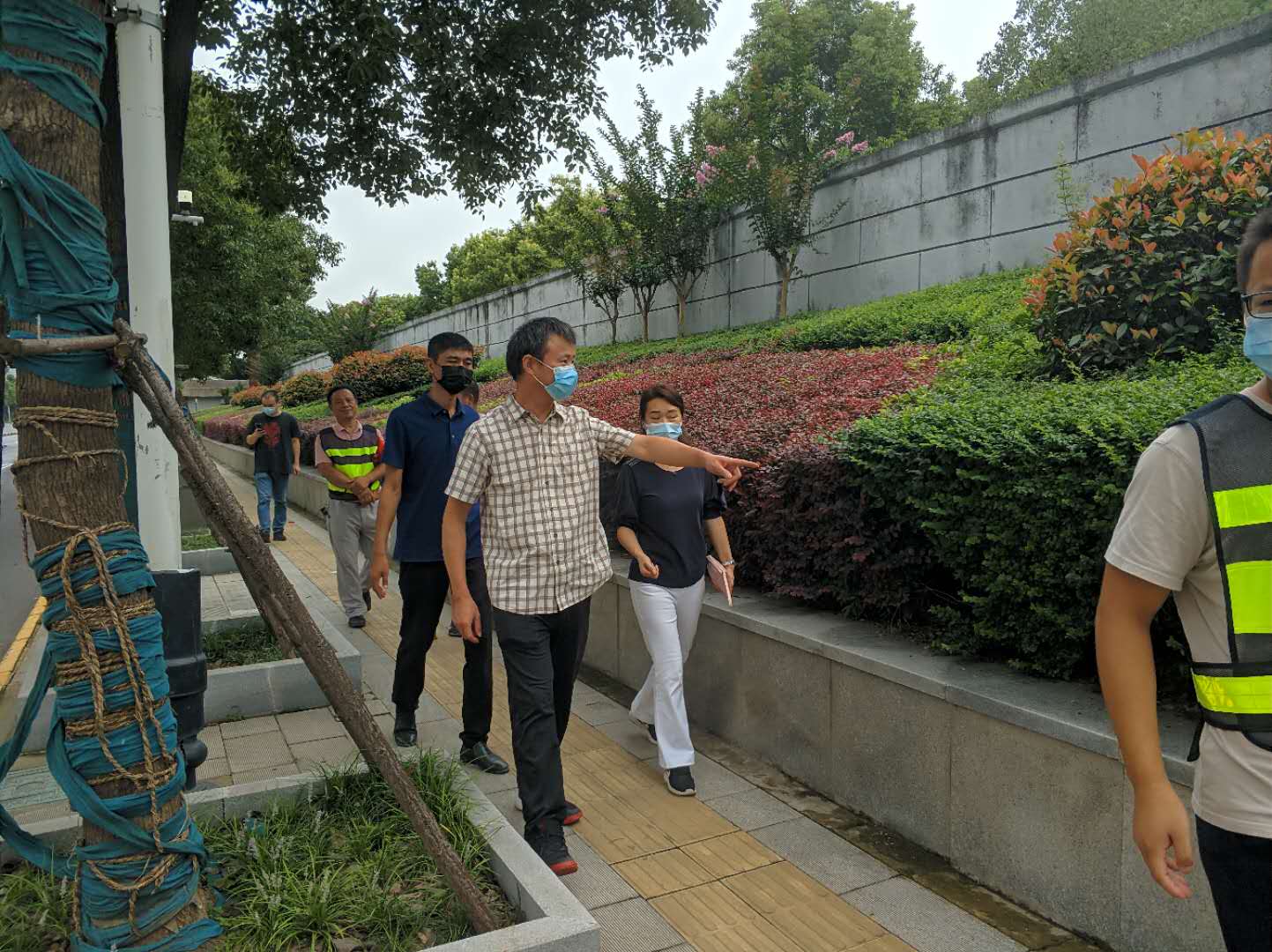 四不像的真正图片2025年