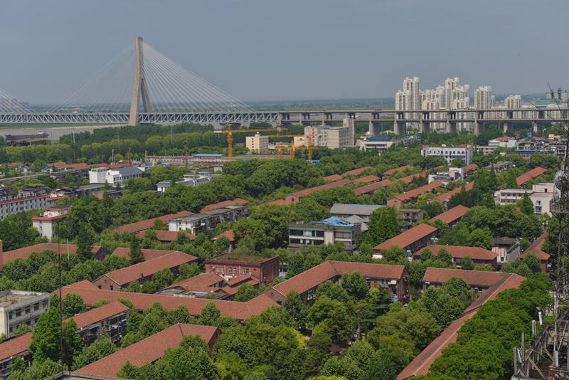 四不像的真正图片2025年
